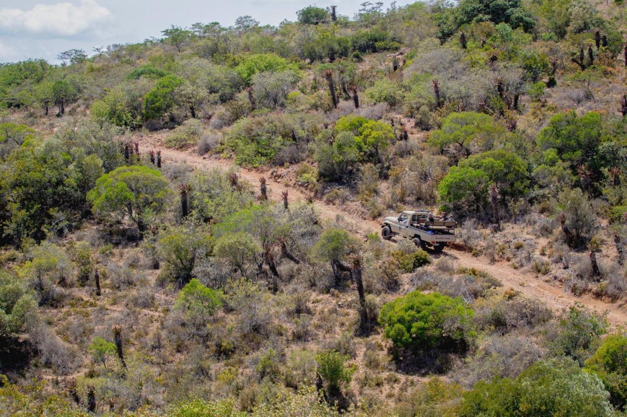 African Safari Lodge Grahamstown Exterior foto